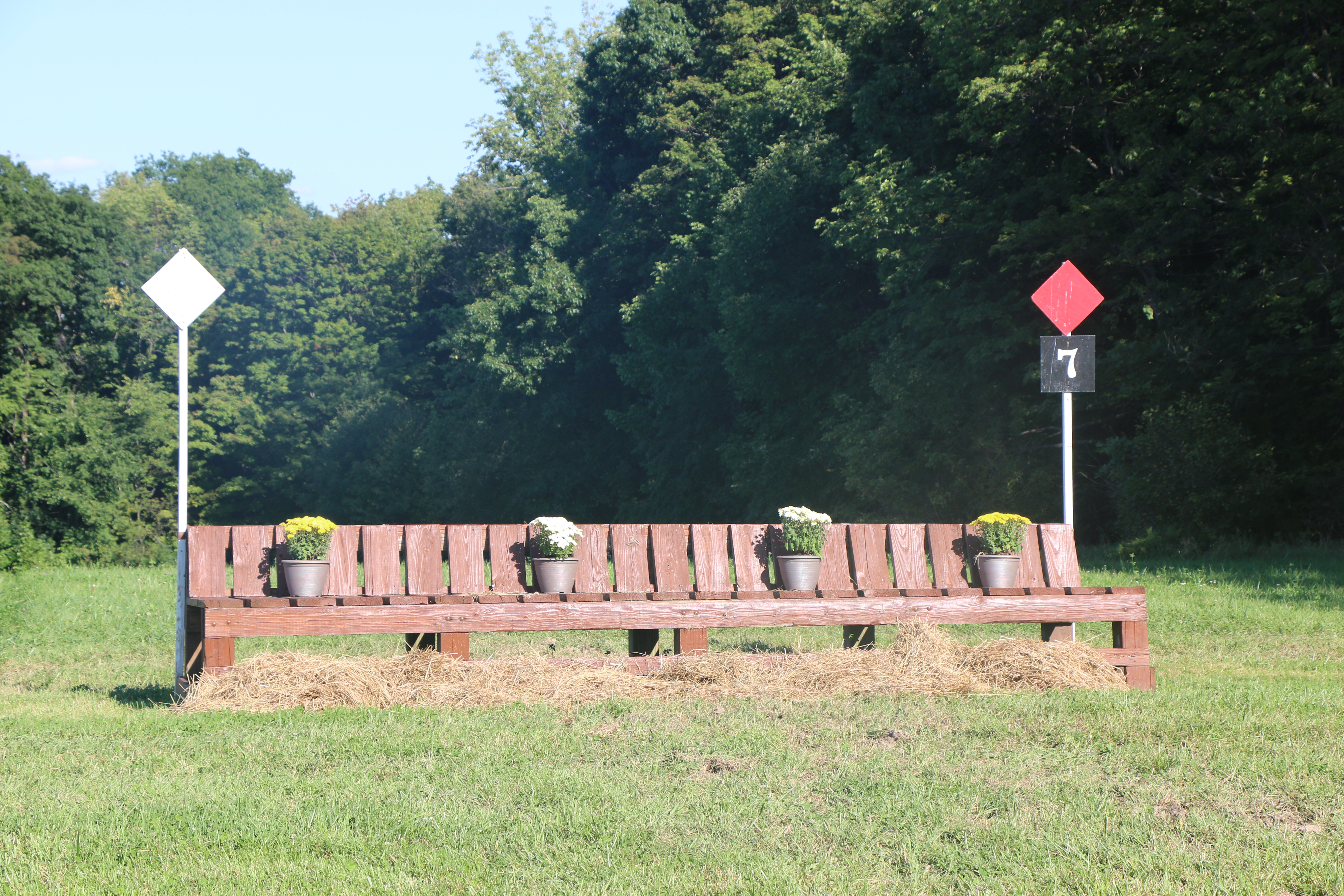 mini training park bench